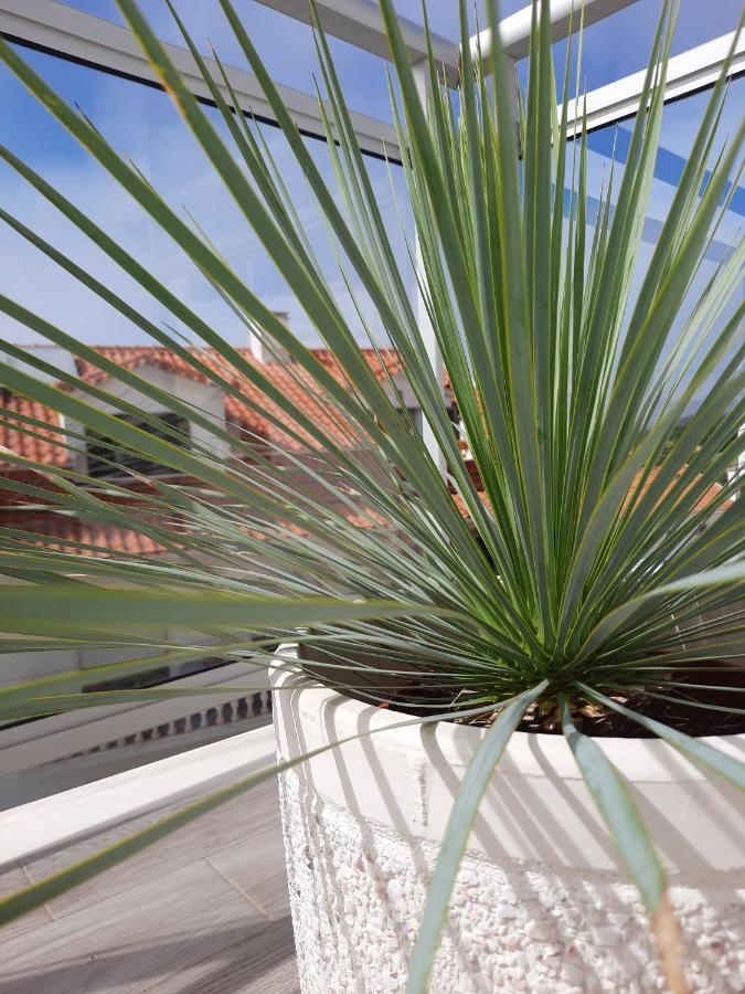 Sitius 5B - New Seaview Apartment With Rooftop Terrace In Historical Centre Sitio Da Назаре Экстерьер фото
